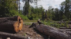 Mulching Services in Genola, UT
